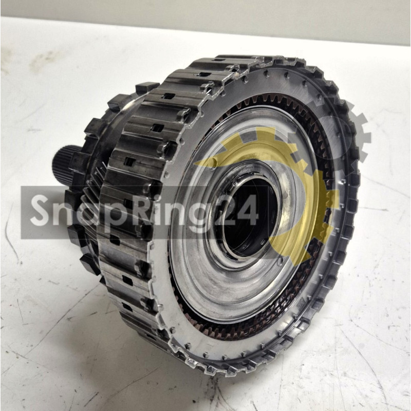 Rear planetary 5 ZF 8HP90 discs