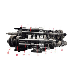 Blok kół zębatych 0CK 0CJ 0CL DL382 S-Tronic Audi