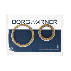 Set of friction discs K1 K2 DL501 0B5 S-Tronic BORG WARNER BW34265
