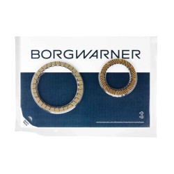 Set of friction discs K1 K2 DQ250 02E DSG BORG WARNER BW34260
