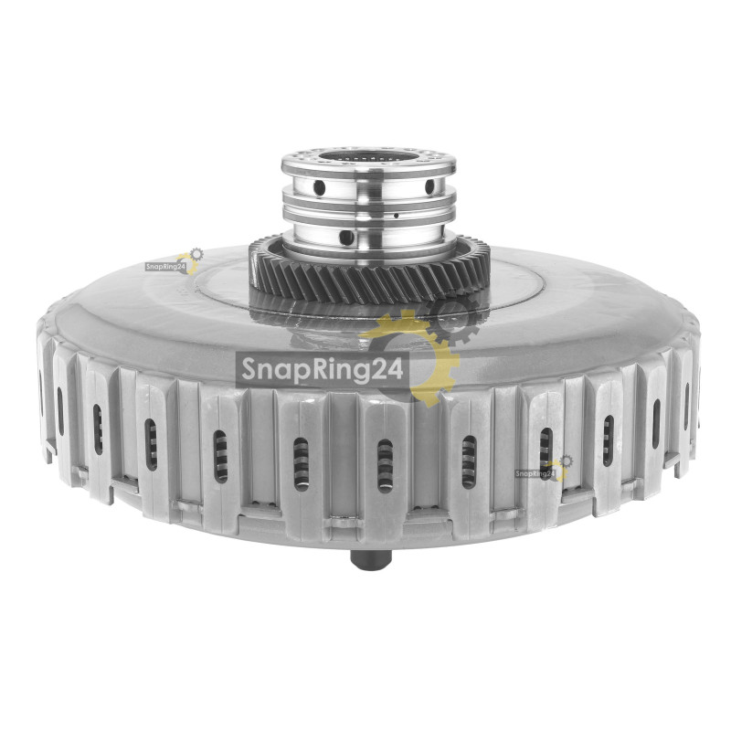 Zestaw sprzęgła mokrego DQ500 DQ501 DSG BorgWarner BWCDWG6950-0170 0BH 141 029 T