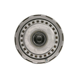 Zestaw sprzęgła mokrego DCT450 MPS6 PowerShift BorgWarner BW201624 1746065