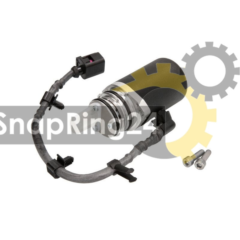 Haldex 2nd Generation oil pressure pump for Audi, VW, Skoda and Seat – BorgWarner BW118613