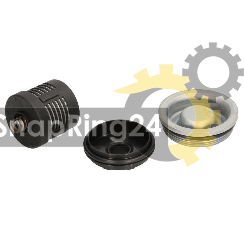 Haldex 2nd Generation Oil Filter for Audi, VW, Skoda and Seat – BorgWarner BW120456