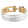 AL4 DP0 BORG WARNER BW50190 gearbox brake band