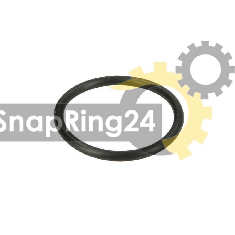 O-ring for the ZF 4HP18, 5HP18, 5HP24 and 5HP30 gearbox filter, 0734 313 181