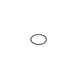 O-ring for ZF gearbox 5HP19, 5HP19FL, 5HP19FLA 0734 313 190