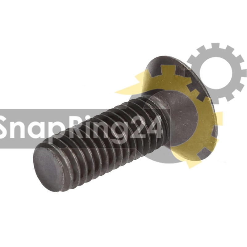 Basket screw F ZF 5HP24 5HP24A 5HP30 0736 401 071