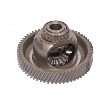 Differential A2463780101...