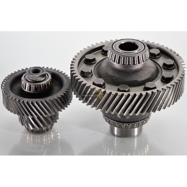 Differential 63 teeth with shaft 48t/123mm 21t/72mm Jatco JF011E